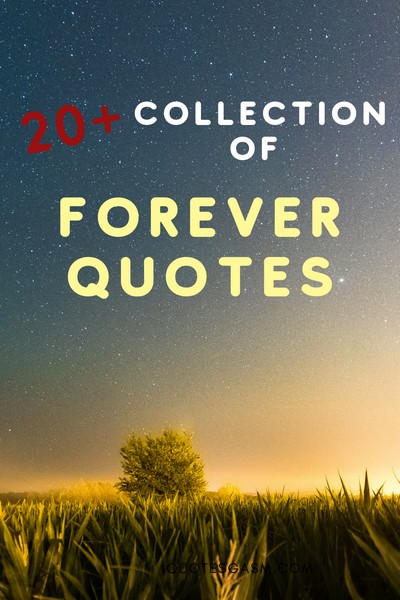 A compilation of the sweetest, most inspiring, and best forever quotes. This is an ever-growing collection of quotes about forever.  #foreverquotes #quotes #captions #quotesdaily #quotesoftheday #quotesforlife #motivationalquotes #inspiringquotes #motivationquotes #quotescompilation #quotecollection #captioncollection #captionoftheday via @quotesgasm