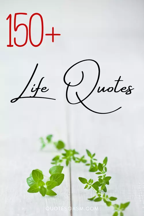 Here's a compilation of quotes about life: inspiring, exciting, sadness, bravery, courage, and so much more in between. Collection of life quotes. via @quotesgasm